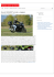 News auto e moto