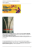 bari in jazz vii edizione il programma completo