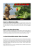 Cosa è la Dieta Cave-Man Cosa Fa la Dieta Cave