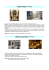 I Portici Hotel L Hotel Corona d`Oro L