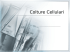 Lezione 1: Colture cellulari