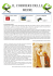 scarica e stampa il corriere in pdf
