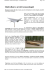 Ombrelloni e arredi tecnoecologici