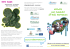 brochure - Isola Borromeo