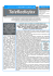 Scarica il testo in formato PDF