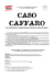 caso caffaro - Ambiente Brescia