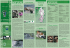 Layout 1 (Page 1) - Comune di Morterone