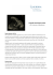 Ecografia morfologica estesa