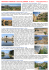 Provenza Camargue Verdon