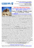 dettagli tour - Intercral Parma