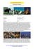Scarica depliant/brochure della proposta