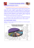 La Sezione Internazionale dell`AIMs