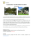 VALLE BAVONA – ROLLING STONES TRA I GROTTI