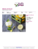 Gelato al limone fatto in casa | RicetteDalMondo.it