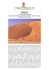 Il deserto del Rub Al Khali
