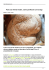 Pane con lievito madre, come panificare con la biga