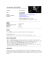 curriculum vitae
