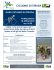 ciclismo su strada