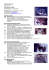 Scarica curriculum