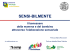 Scarica le slide del progetto