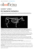 Un bestiario fantastico :: OlioOfficina Magazine