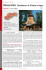 Slovacchia: Bratislava e le chiese in legno