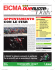 Daily - Editoriale Domus