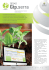 Brochure Gtp.serra