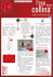 Newsletter Collina Novembre2013