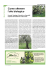 Come ottenere l`olio biologico