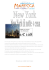 New York di notte + cena doc. PDF