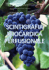 scintigrafia miocardica perfusionale
