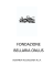 FONDAZIONE BELLARIA ONLUS