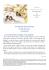 apri pdf - Raccontareancora