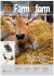 Buone nuove per SDF Parts!