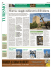 [bso_f1 - 30] publiadige/bs/spe/pagviaggi> 17/03/16