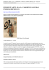 Scarica come PDF