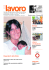22 Novembre 2007