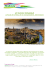 Scarica l`itinerario