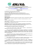 Descrizione dettagliata (formato pdf