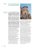 per 32 - Salvare Palermo