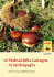 12° Festival della Castagna in Val Bregaglia