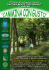 DOMENICA 16 SETTEMBRE - Comune di Trevignano