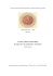 L`Archivio Audiovisivo dell`ICCROM
