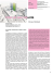 Stampa questo articolo - Tema. Journal of Land Use, Mobility and