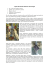 Scarica il pdf