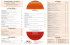 Dal Menu Visualizza - Vegas Active Travel Guide
