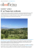 E` un Paese ben coltivato :: OlioOfficina Magazine