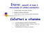Cofattori e vitamine