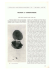 scarica pdf 543.692KB - MUSE